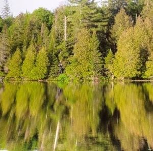 Meet your Posher, Leon